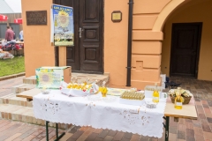 gastro-049