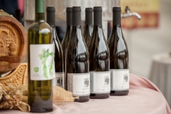 gastro-099