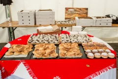 gastro-120