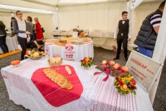 gastro-150